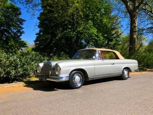 Bild 6/50 von Mercedes-Benz 220 SE b (1963)