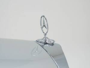 Image 15/15 of Mercedes-Benz 220 S Cabriolet (1959)