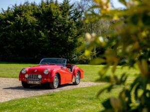 Image 18/50 of Triumph TR 3 (1956)