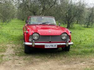 Image 32/33 of Triumph TR 4A IRS (1966)