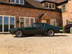 Immagine 10/49 di Pontiac Firebird TransAm (1973)