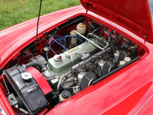 Imagen 9/50 de Austin-Healey 3000 Mk II (BN7) (1961)