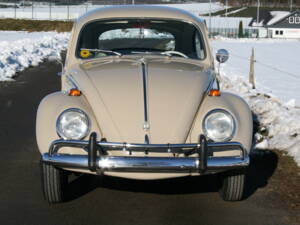 Image 3/65 of Volkswagen Beetle 1200 (1967)