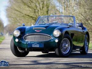 Immagine 6/44 di Austin-Healey 3000 Mk III (BJ8) (1965)