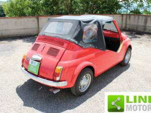 Image 5/10 of FIAT Ghia 500 Jolly (1967)
