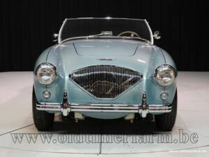 Imagen 9/15 de Austin-Healey 100&#x2F;4 (BN1) (1954)