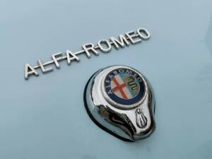 Image 9/13 of Alfa Romeo Giulia 1600 Spider Veloce (1965)