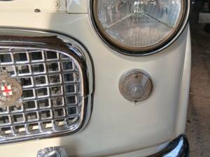 Image 15/37 of FIAT 1100-103 (1961)