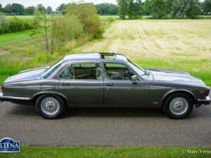 Image 12/57 de Jaguar XJ 12 (1986)