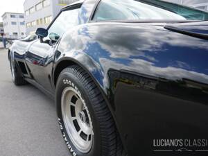 Bild 21/58 von Chevrolet Corvette Sting Ray (1979)