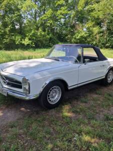 Image 9/100 de Mercedes-Benz 250 SL (1967)