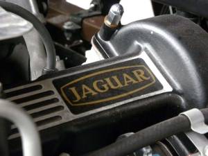 Immagine 18/20 di Jaguar Type E V12 (1973)
