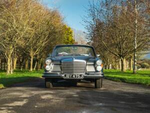 Image 6/50 de Mercedes-Benz 280 SE 3,5 (1971)