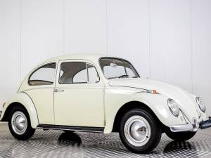 Bild 18/50 von Volkswagen Beetle 1200 (1965)