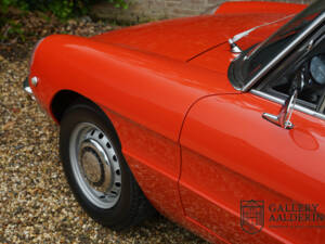 Image 38/50 of Alfa Romeo 1750 Spider (1969)