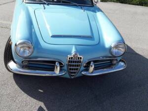 Afbeelding 18/18 van Alfa Romeo Giulia 1600 Spider Veloce (1965)