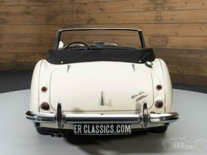 Imagen 4/6 de Austin-Healey 3000 Mk III (BJ8) (1964)