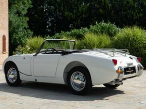 Image 7/50 of Austin-Healey Sprite Mk I (1958)