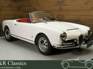 Immagine 1/19 di Alfa Romeo Giulia 1600 Spider Veloce (1964)