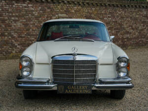 Imagen 48/50 de Mercedes-Benz 280 SE 3,5 (1970)