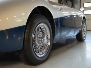 Image 30/50 de Austin-Healey 3000 Mk III (BJ8) (1965)