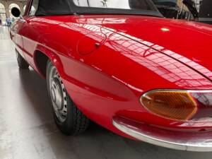 Bild 7/33 von Alfa Romeo 1600 Duetto (1967)