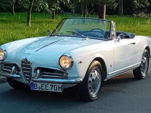 Afbeelding 2/53 van Alfa Romeo Giulietta Spider (1960)