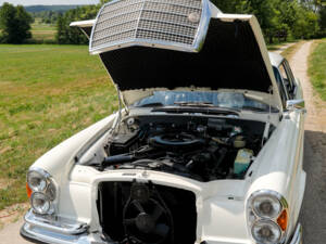 Image 11/50 of Mercedes-Benz 280 SE 3,5 (1970)