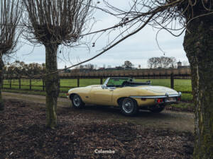 Image 10/29 de Jaguar E-Type (1969)