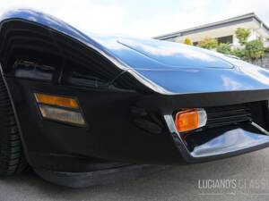 Bild 31/58 von Chevrolet Corvette Sting Ray (1979)