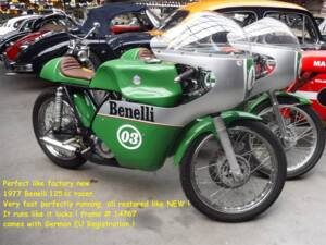 Bild 9/25 von Benelli DUMMY (1976)