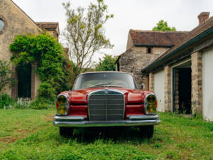 Image 6/99 de Mercedes-Benz 250 SE (1967)