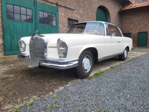 Imagen 3/49 de Mercedes-Benz 250 SE (1966)