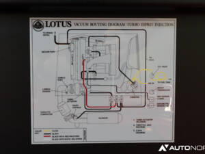 Bild 25/52 von Lotus Esprit SE (1993)