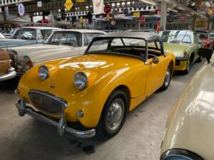 Bild 18/24 von Austin-Healey Sprite Mk I (1959)