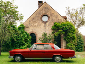 Imagen 22/99 de Mercedes-Benz 250 SE (1967)