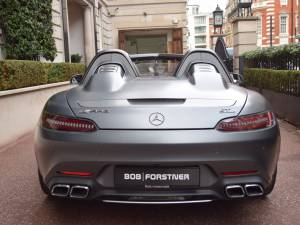 Image 8/38 of Mercedes-AMG GT-R Bussink Speedlegend (2019)