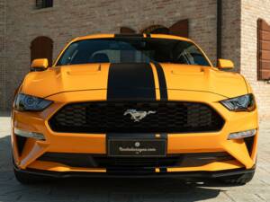 Bild 3/50 von Ford Mustang 2.3 Ecoboost (2019)