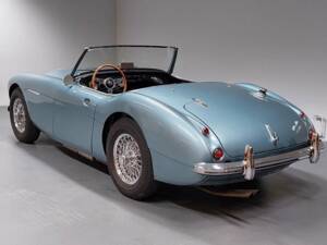 Immagine 6/15 di Austin-Healey 3000 Mk I (BN7) (1959)