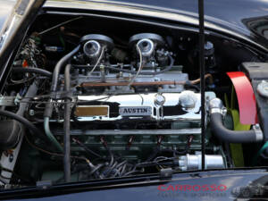 Immagine 14/43 di Austin-Healey 3000 Mk II (BJ7) (1963)