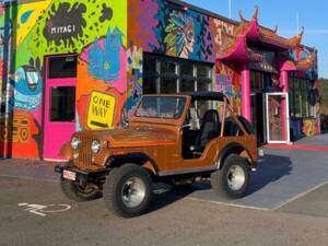 Image 1/49 de Jeep CJ-5 (1977)