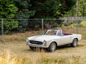 Image 43/46 of Mercedes-Benz 250 SL (1967)