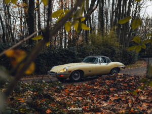 Image 4/29 de Jaguar E-Type (1969)