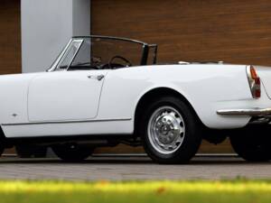 Image 19/50 of Alfa Romeo 2600 Spider (1964)