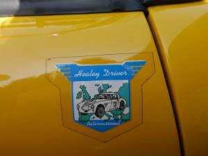 Immagine 10/52 di Austin-Healey 3000 Mk I (BN7) (1959)