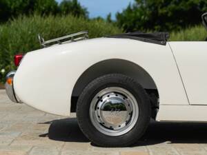 Image 22/50 of Austin-Healey Sprite Mk I (1958)