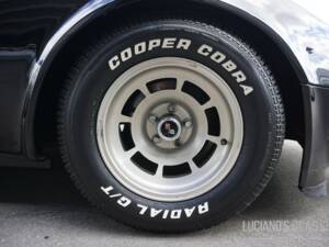 Bild 30/58 von Chevrolet Corvette Sting Ray (1979)