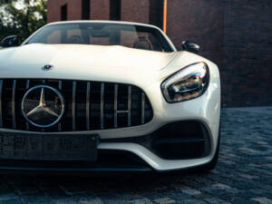 Bild 11/100 von Mercedes-AMG GT-C Roadster (2017)