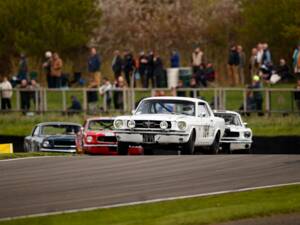 Image 2/20 of Ford Mustang Notchback (1965)