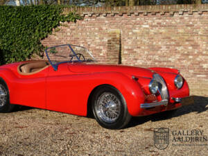 Image 46/50 of Jaguar XK 120 OTS (1954)